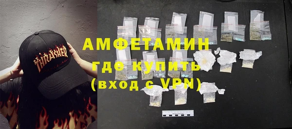 индика Аркадак