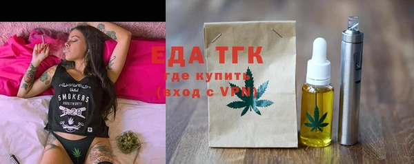 индика Аркадак