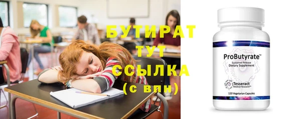 индика Аркадак