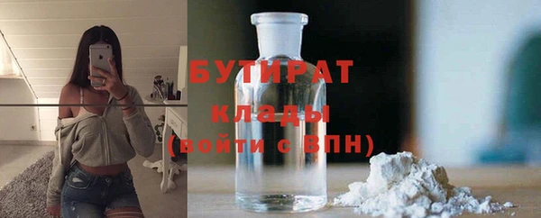 индика Аркадак