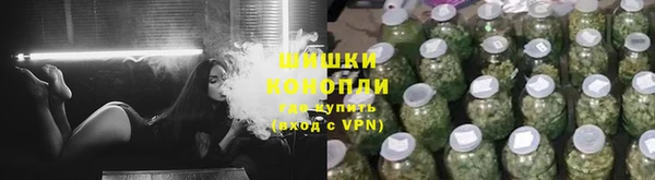 индика Аркадак