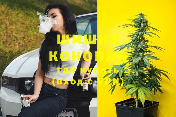 индика Аркадак