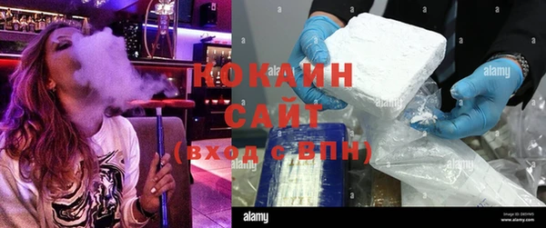 индика Аркадак