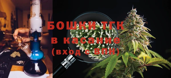 индика Аркадак