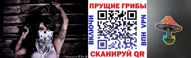 как найти   Берёзовский  Псилоцибиновые грибы Psilocybe 