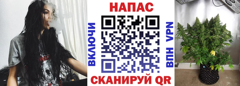 купить  цена  Берёзовский  Канабис план 